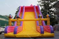 पानी प्रतिरोधी पीवीसी बड़े Inflatable स्लाइड 13x7x10m बच्चों के लिए आपूर्तिकर्ता