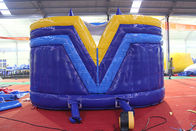 डबल स्लाइड पानी प्रतिरोधी के साथ बड़े वाणिज्यिक Inflatable उछाल हाउस आपूर्तिकर्ता