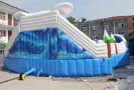 विशाल वाणिज्यिक Inflatable पानी पार्क, जमे हुए थीमाधारित एक्वा पार्क उपकरण आपूर्तिकर्ता